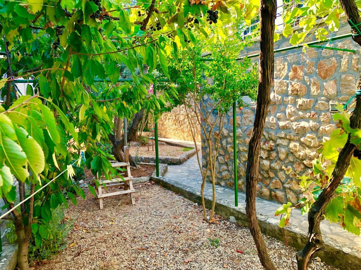 Villa Dinastija كالي المظهر الخارجي الصورة